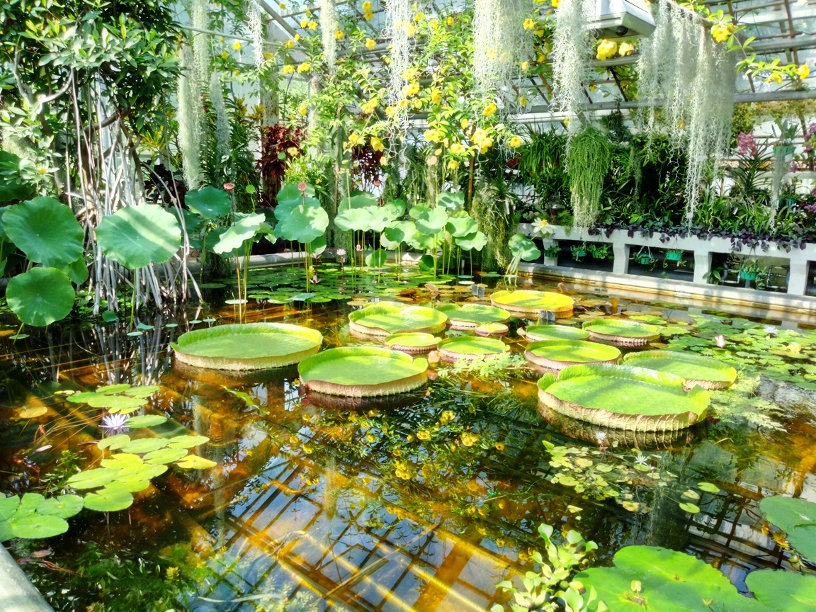 Jagiellonian University Botanical Garden