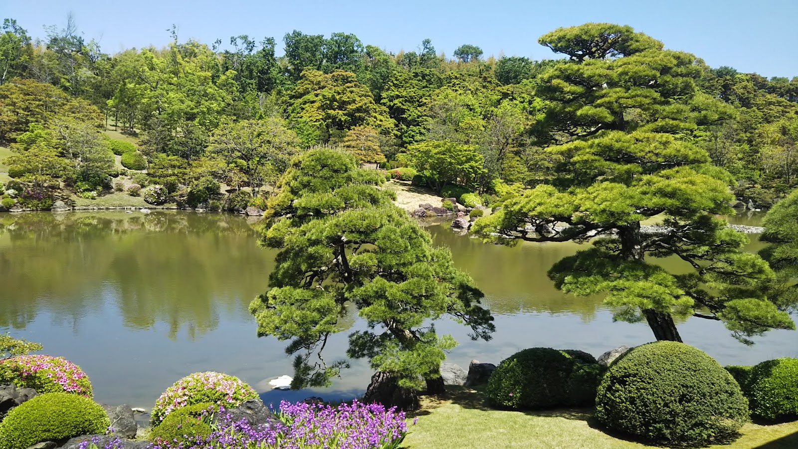 Japanese Garden