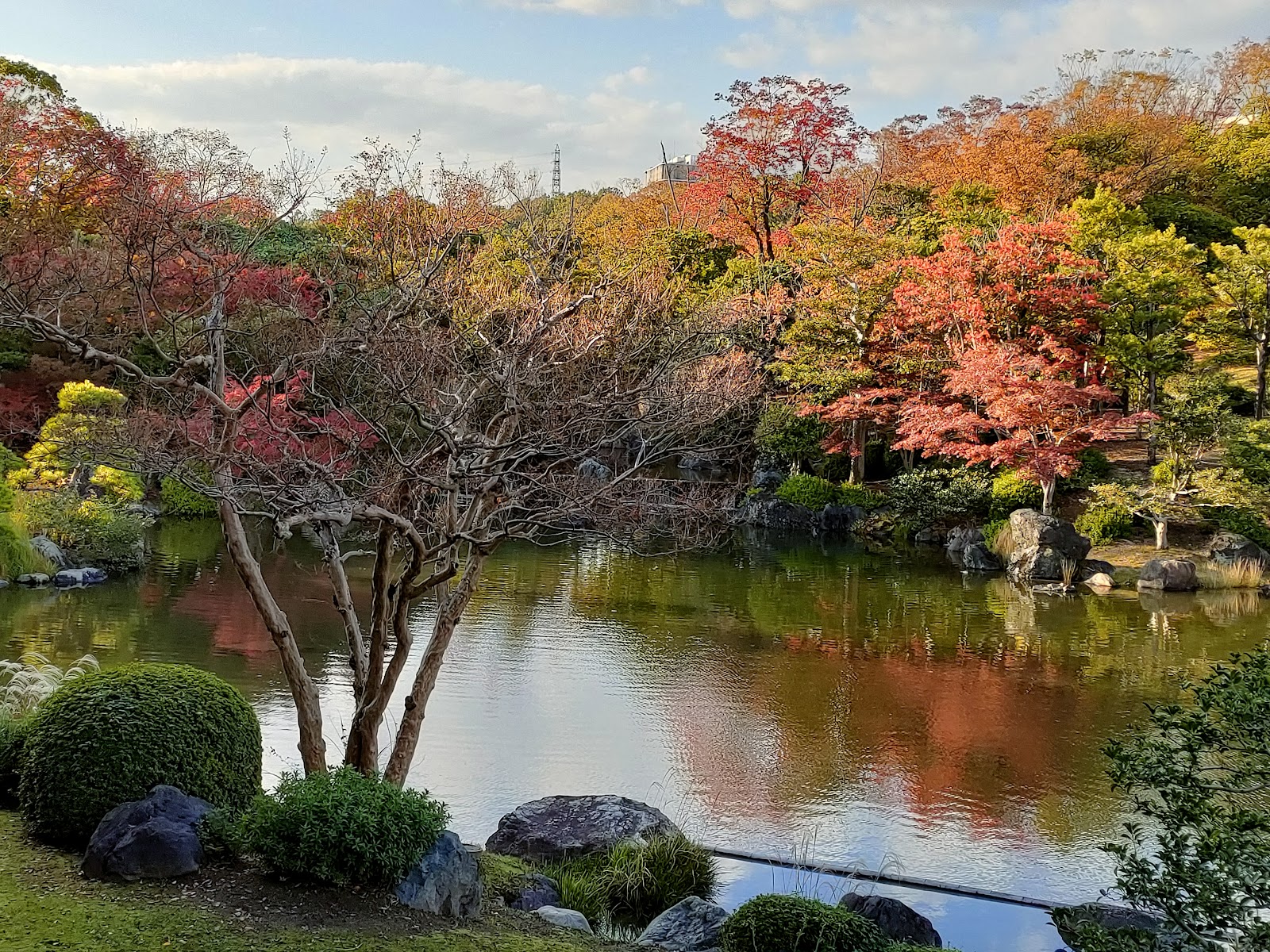 Japanese Garden (Expo Park)