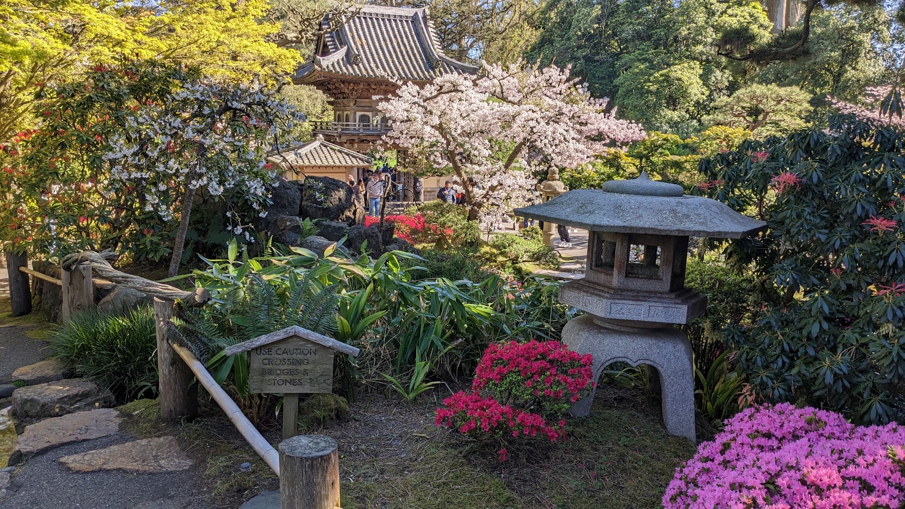 Japanese Tea Garden