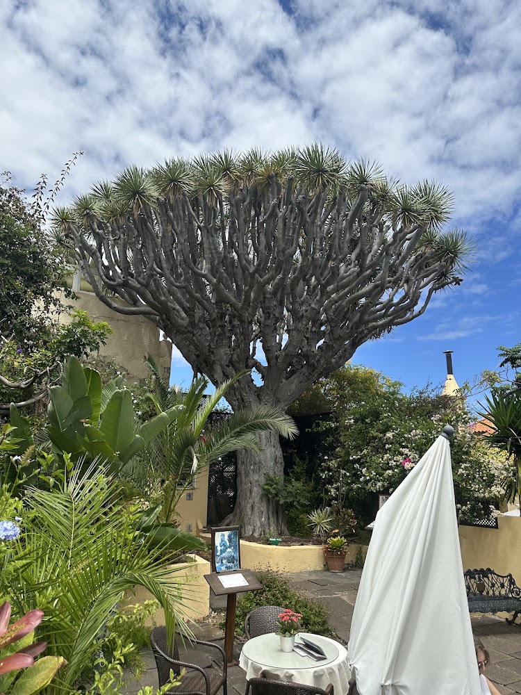 Jardín Botánico