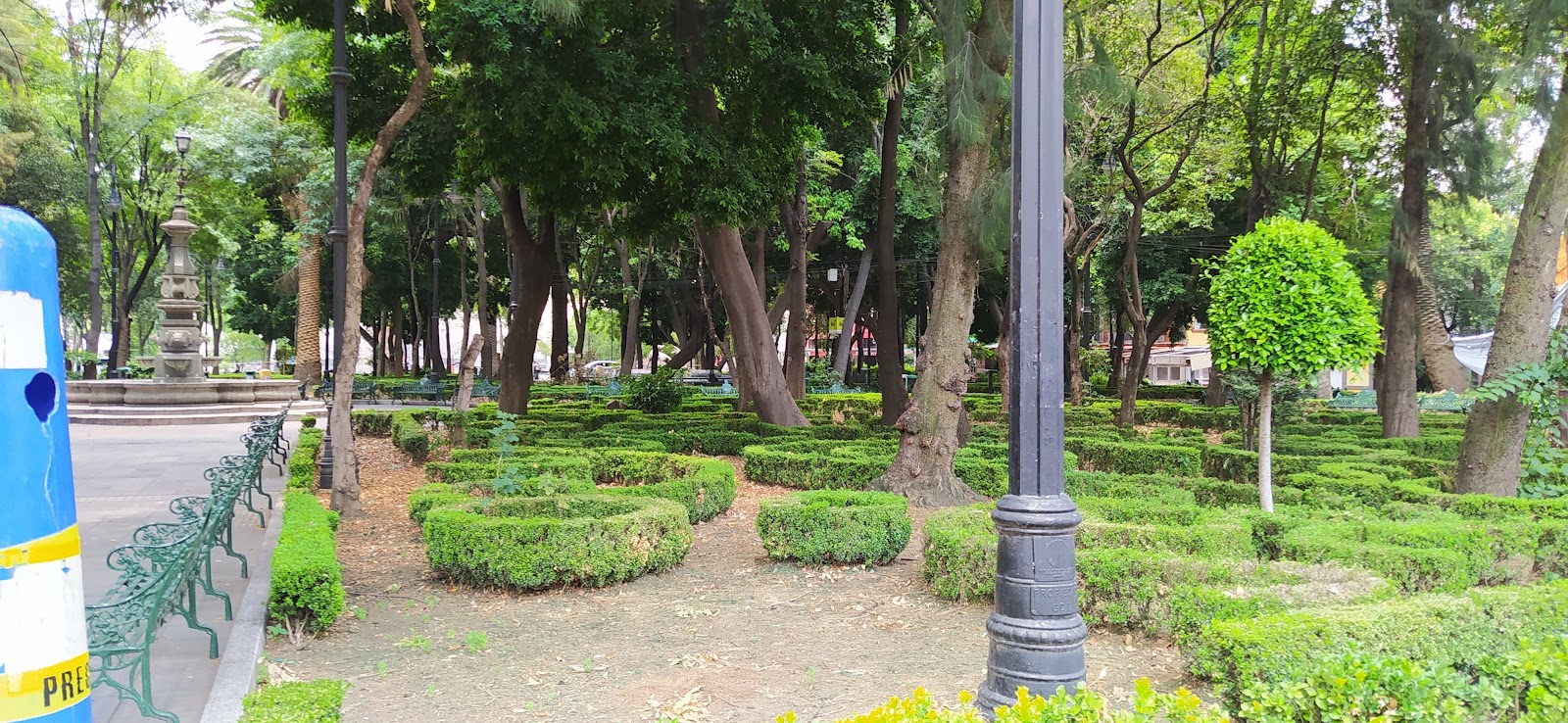 Jardín Centenario