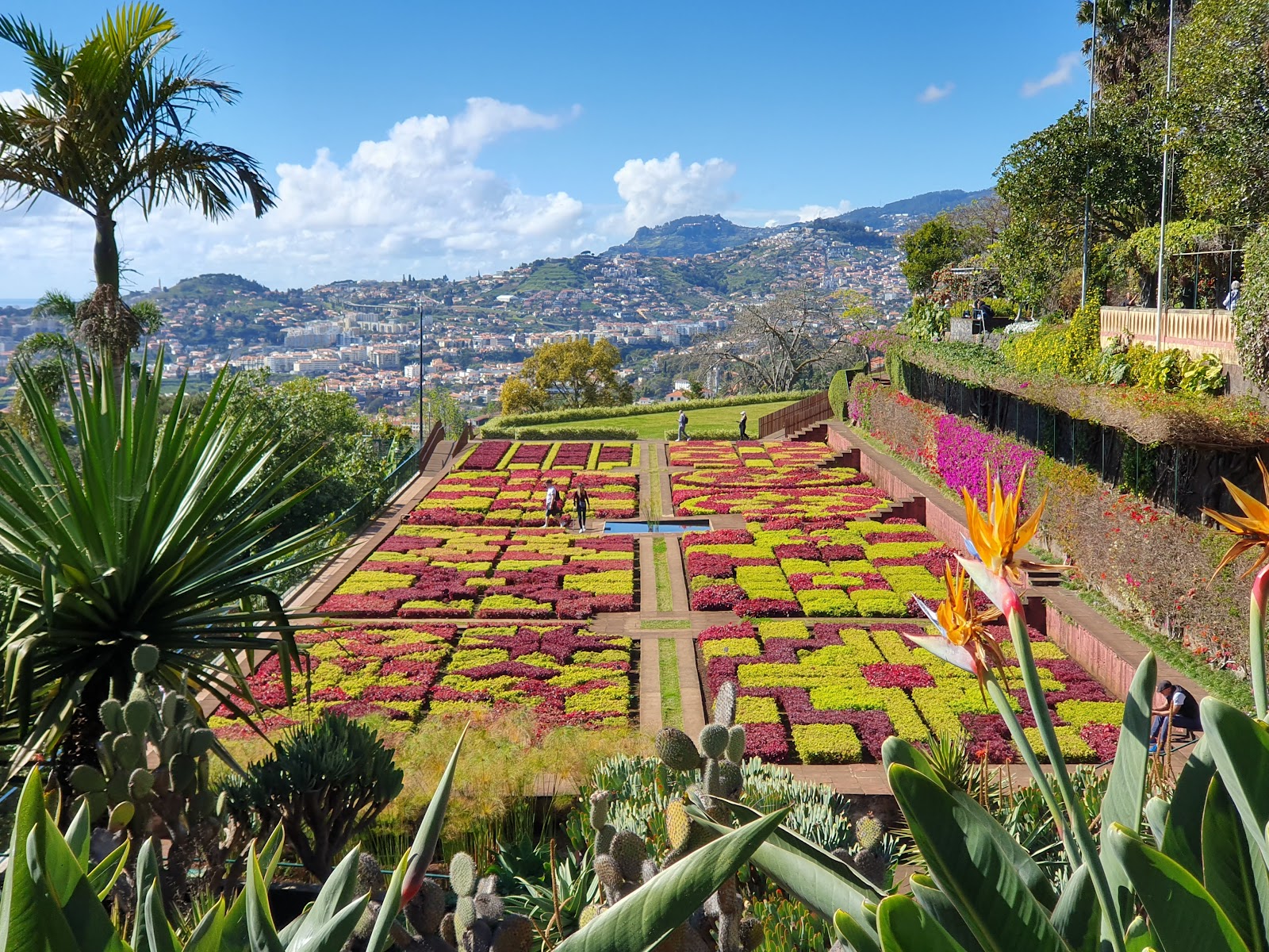 Jardim Botânico da Madeira