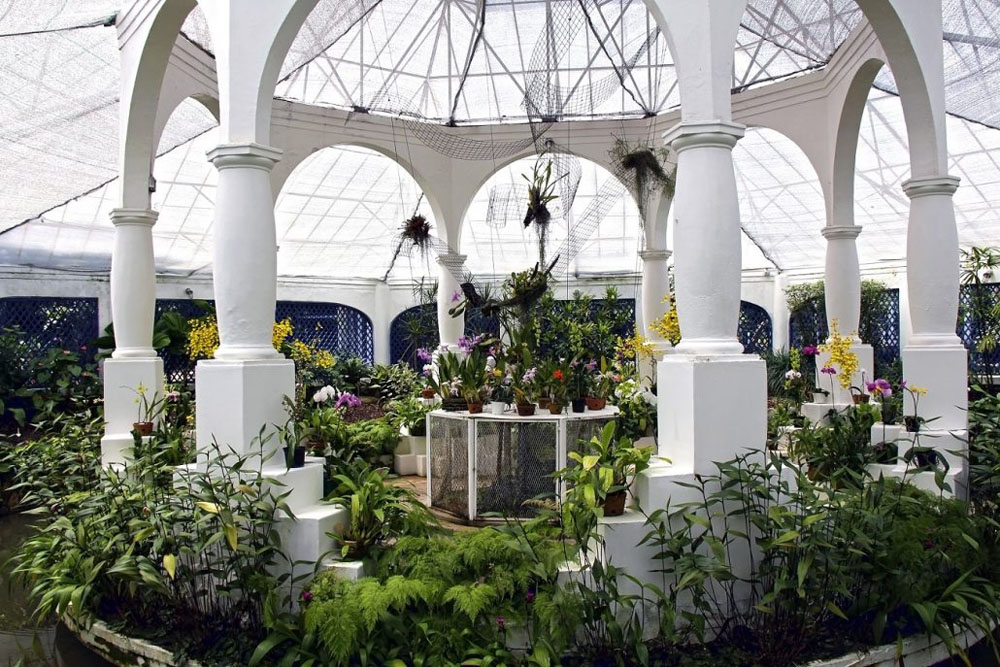Jardim Botânico do Rio de Janeiro