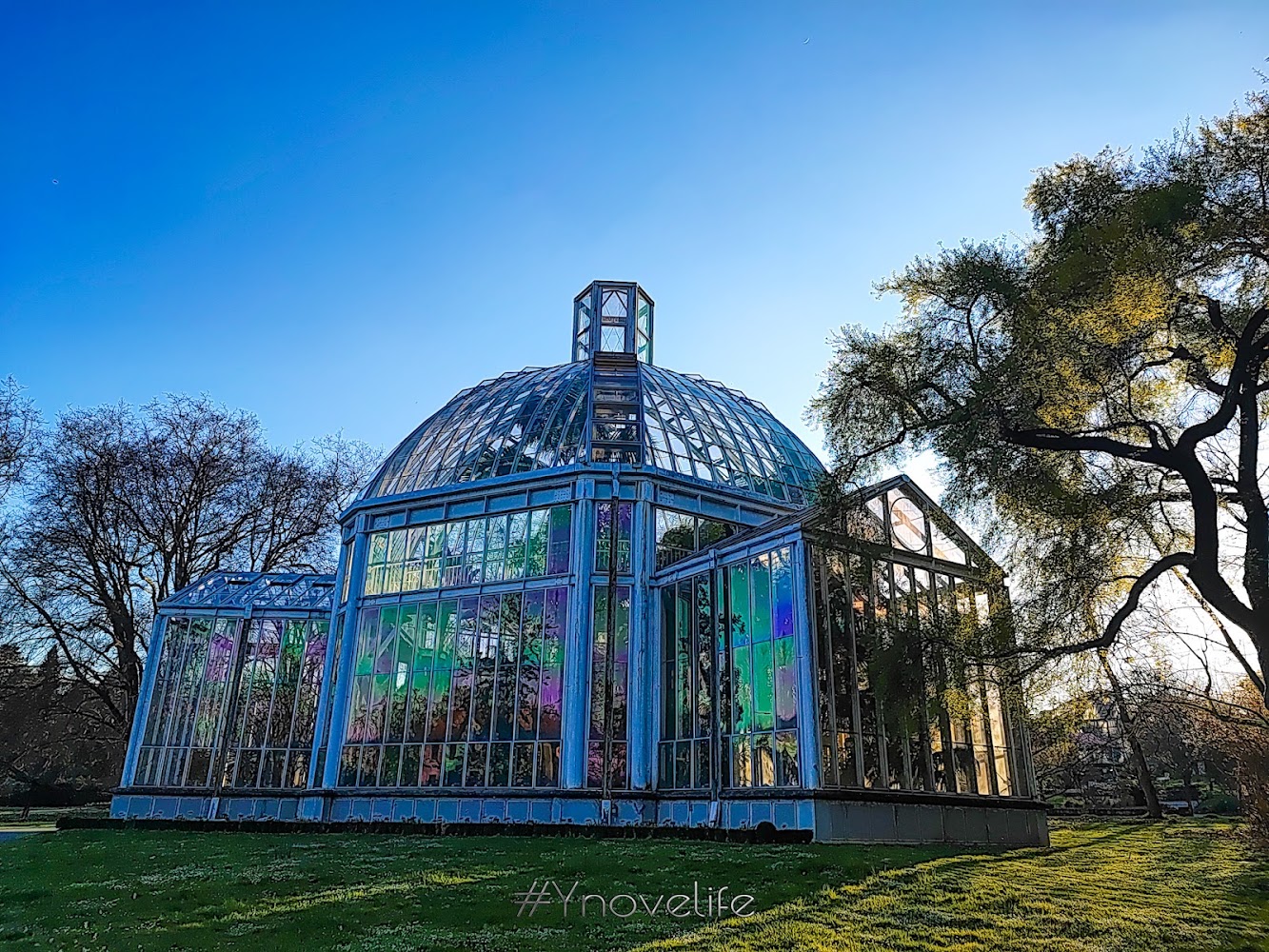 Jardin Botanique