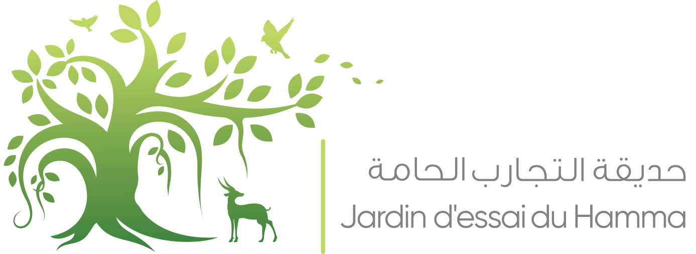 Jardin d'Essai du Hamma