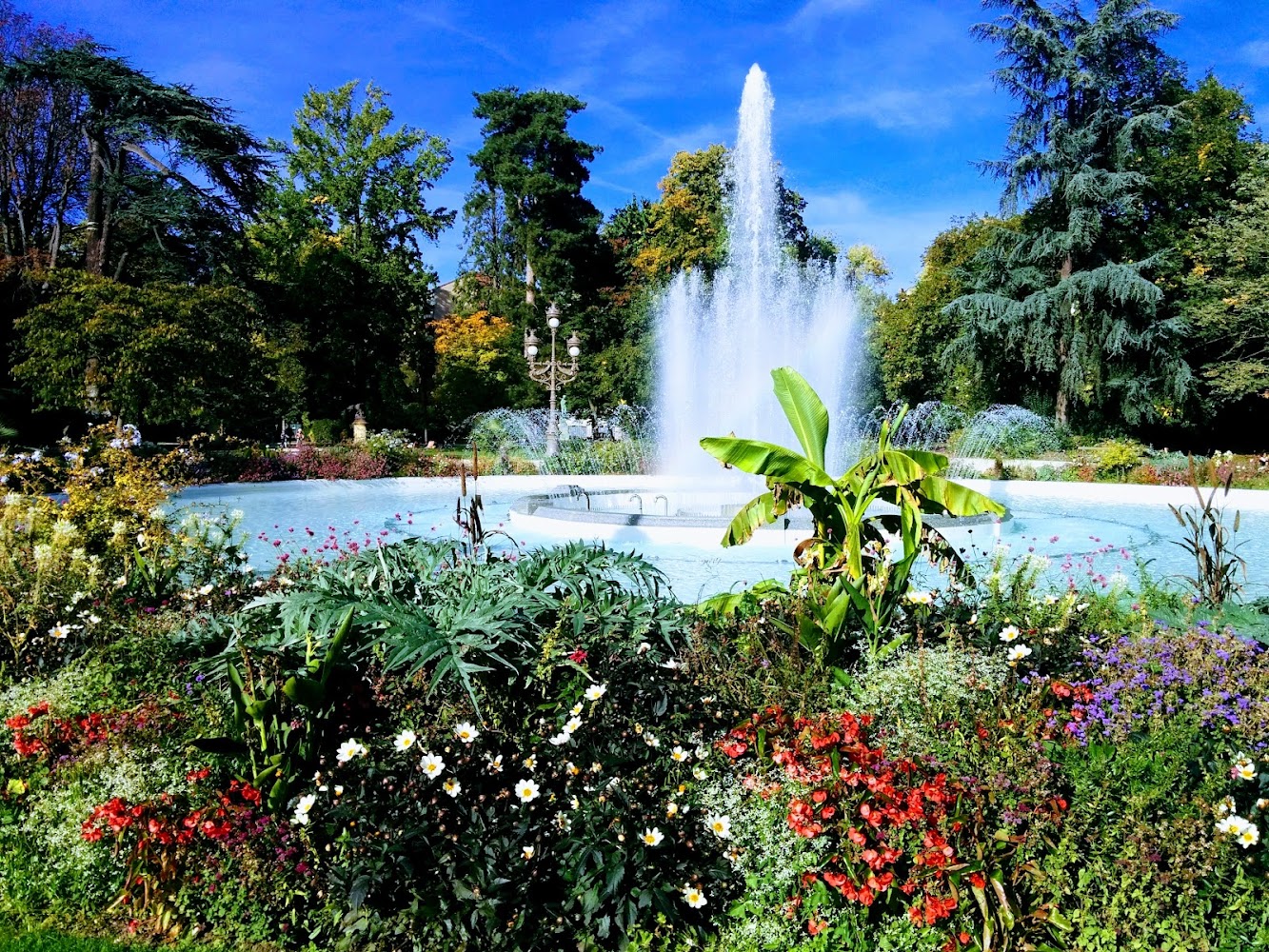 Jardin des Plantes