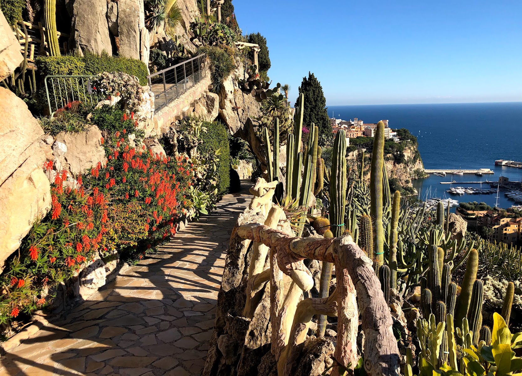 Jardin Exotique de Monaco