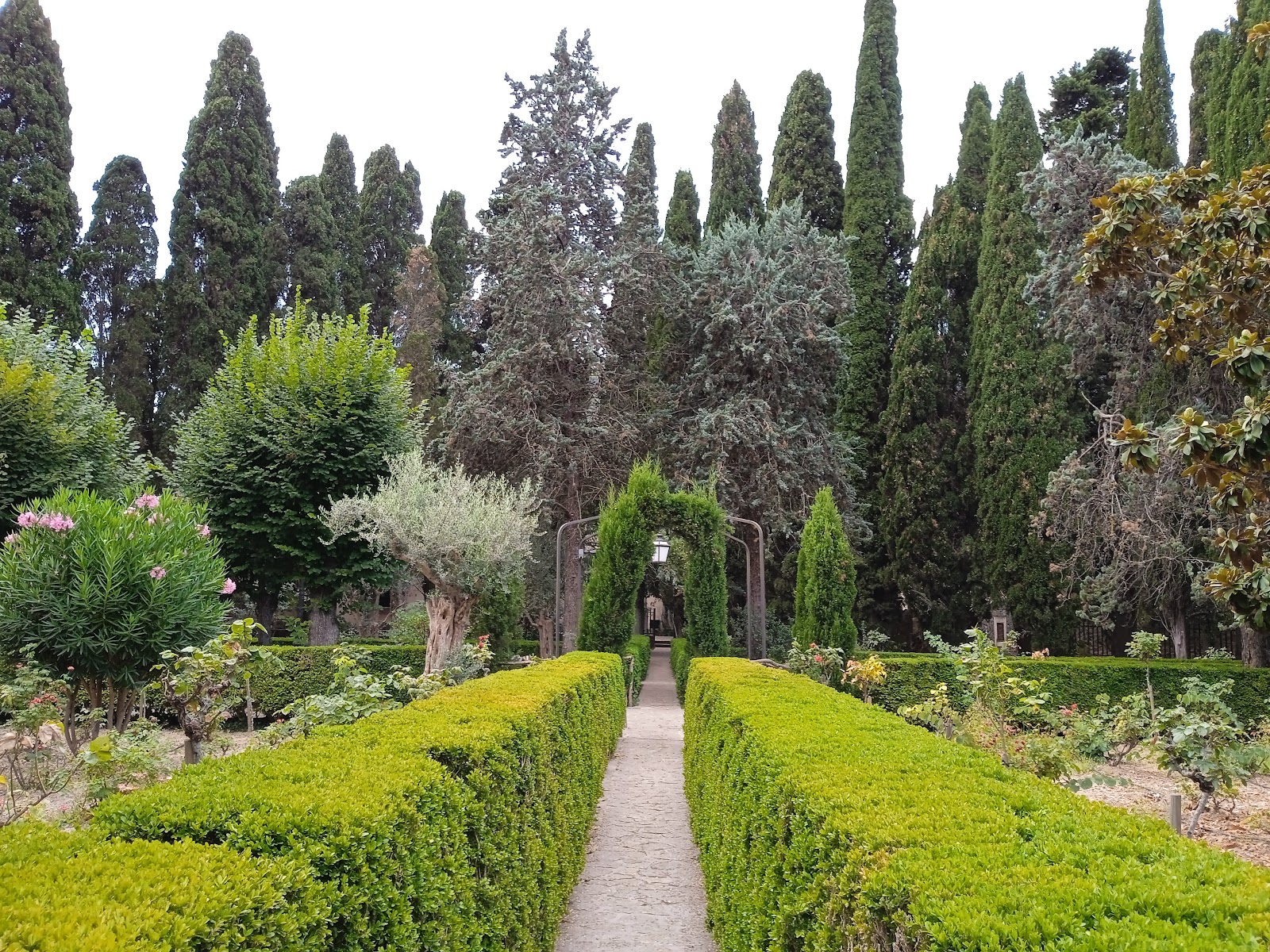 Jardins de sa Cartoixa