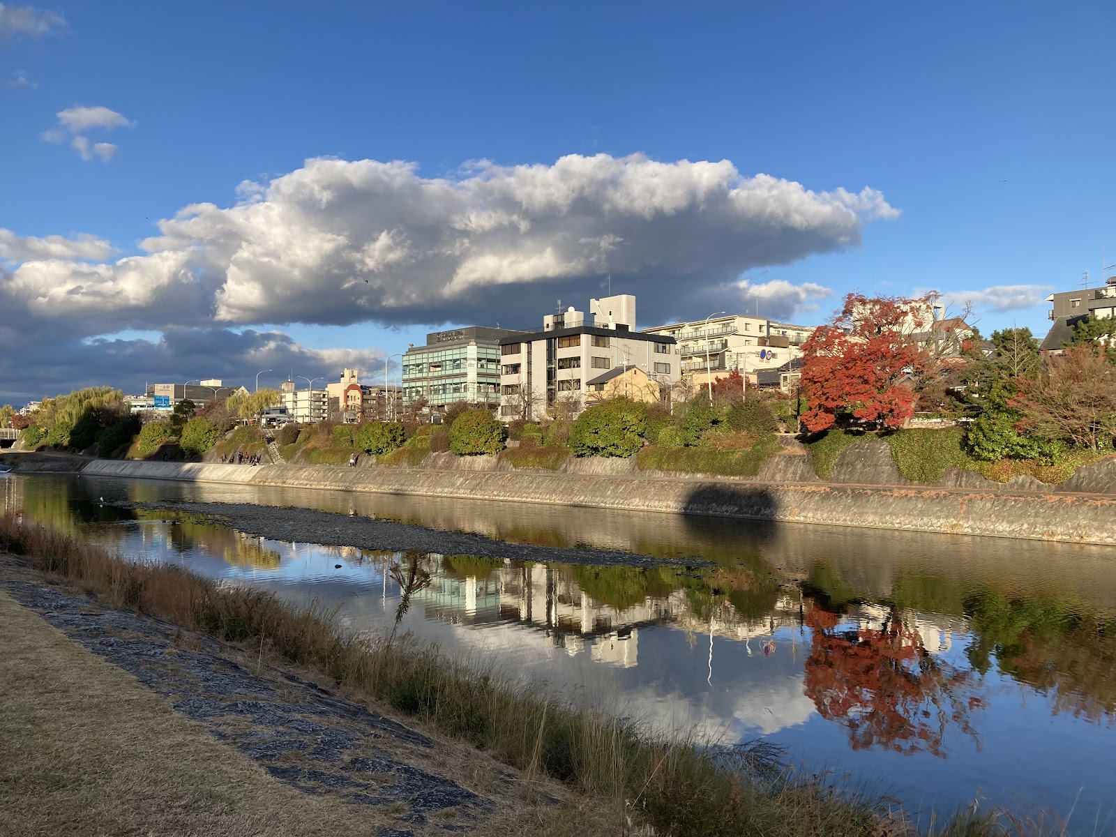 Kamo River