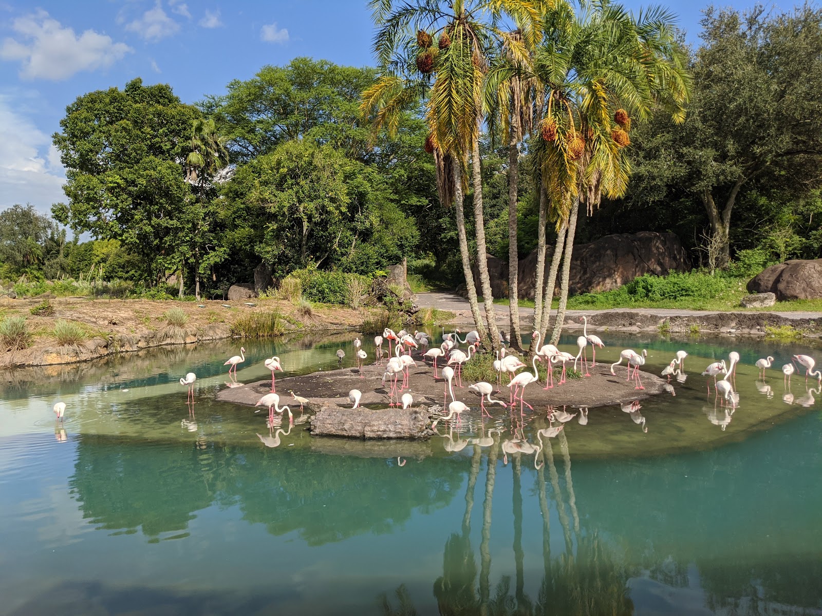 Kilimanjaro Safaris