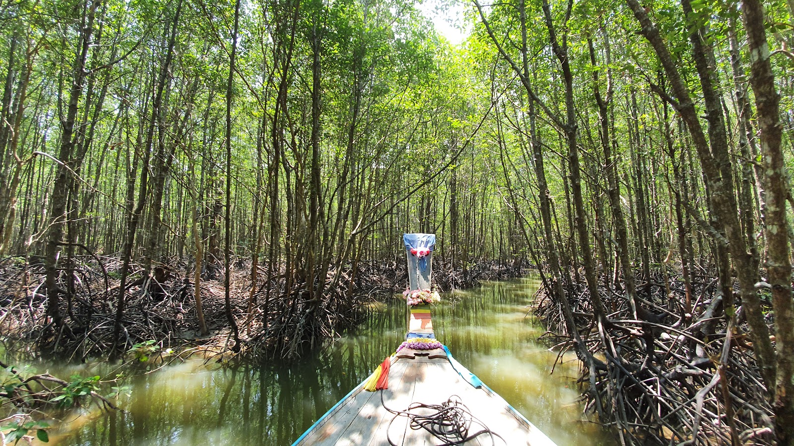 Krabi River & Mangrove Forest