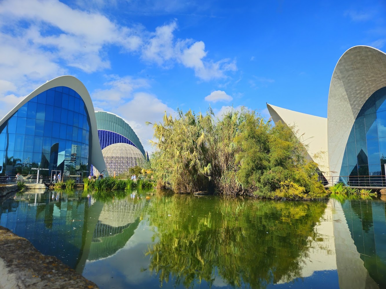 L'Oceanogràfic