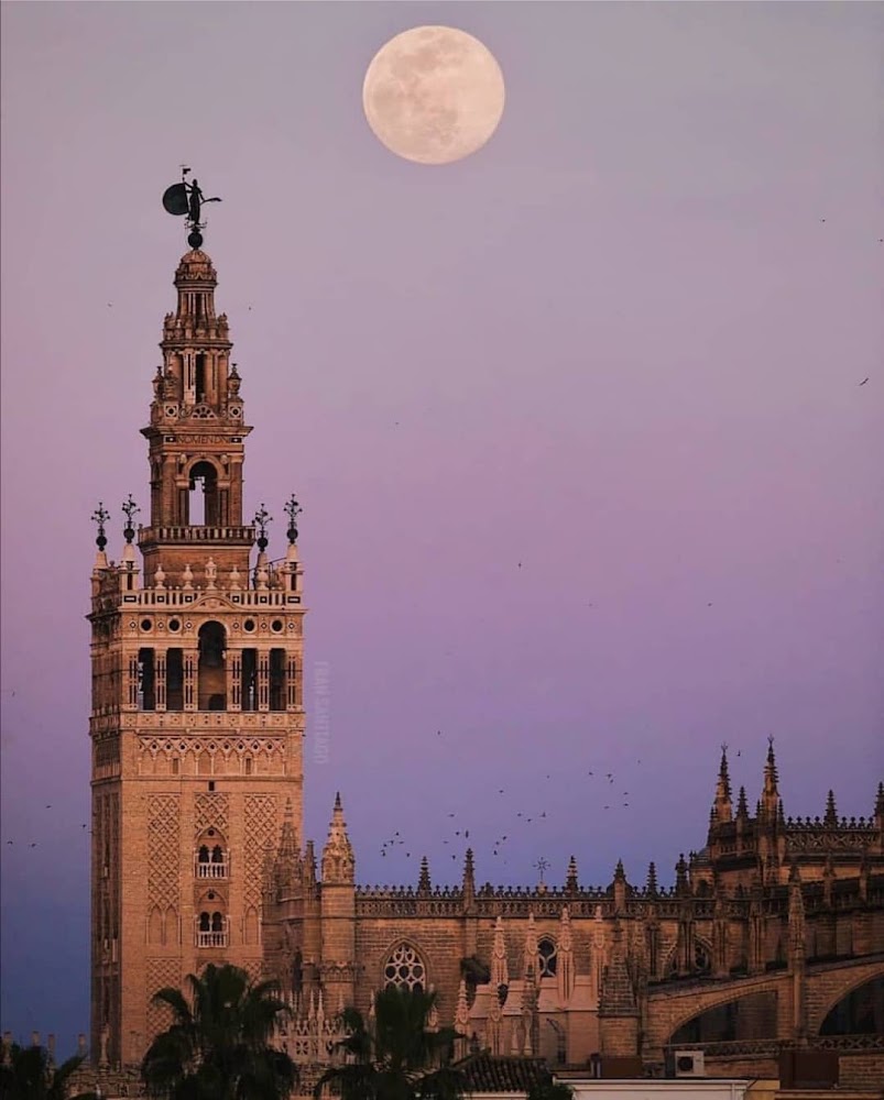 La Giralda