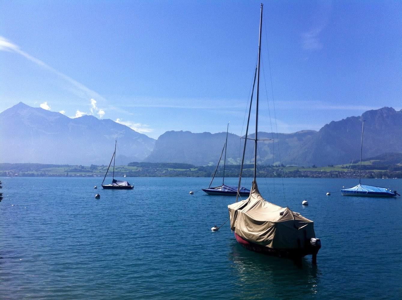Lake Thun Boat Trip