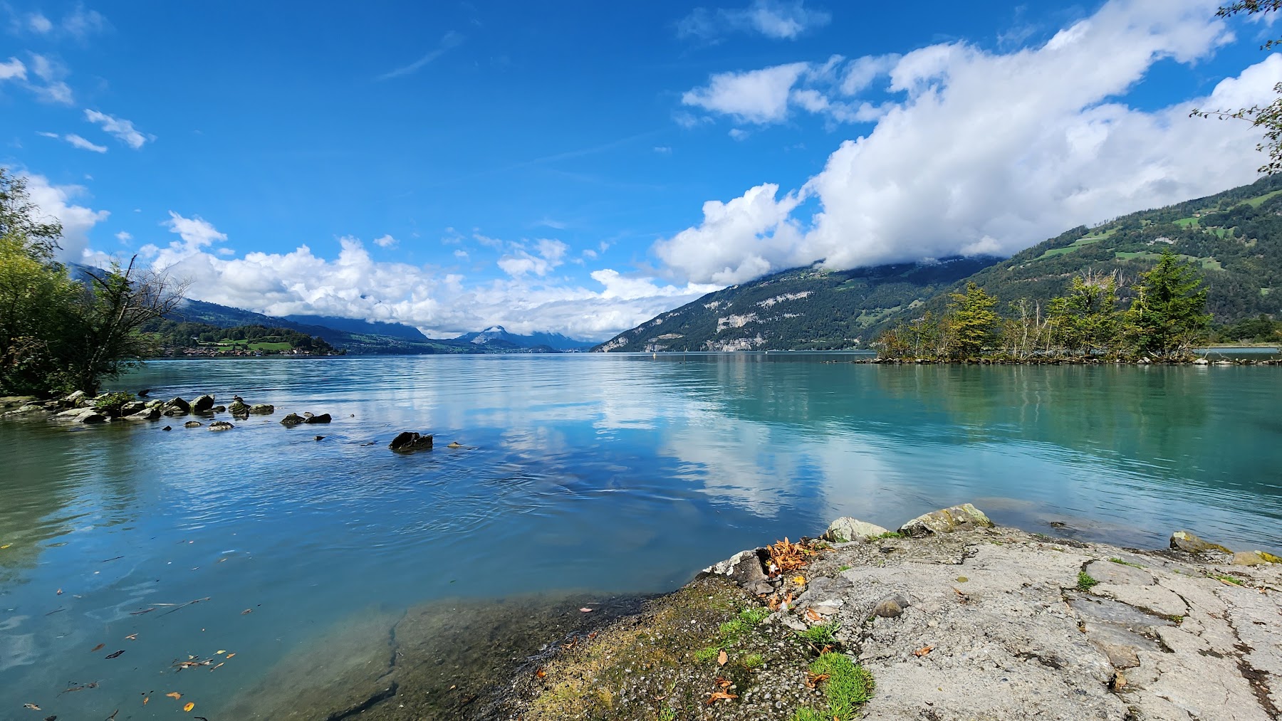 Lake Thun Shoreline
