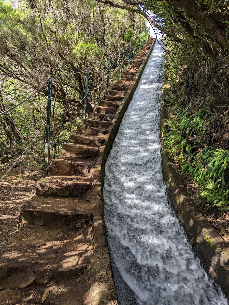 Levada do Alecrim