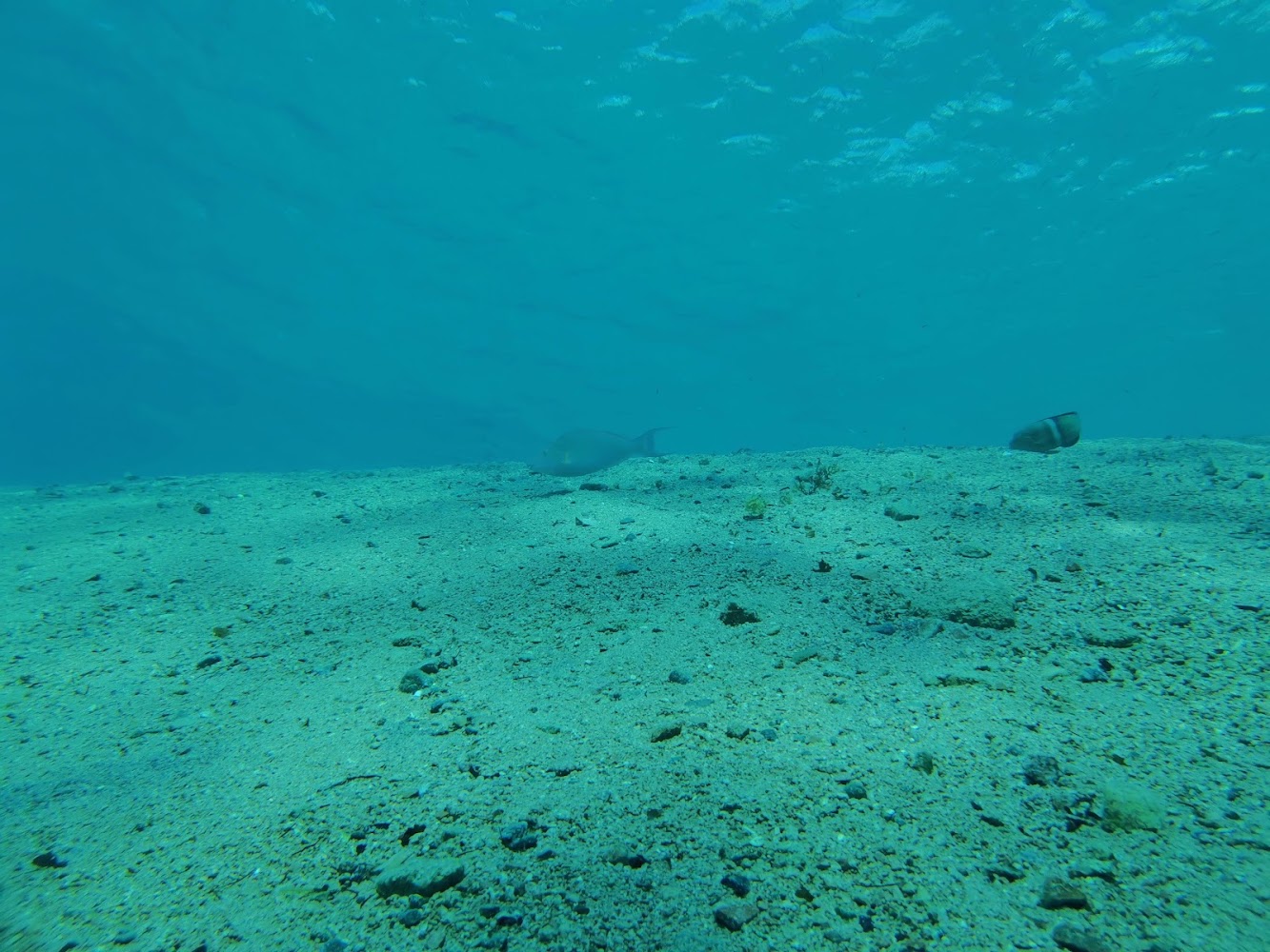 Lighthouse Reef