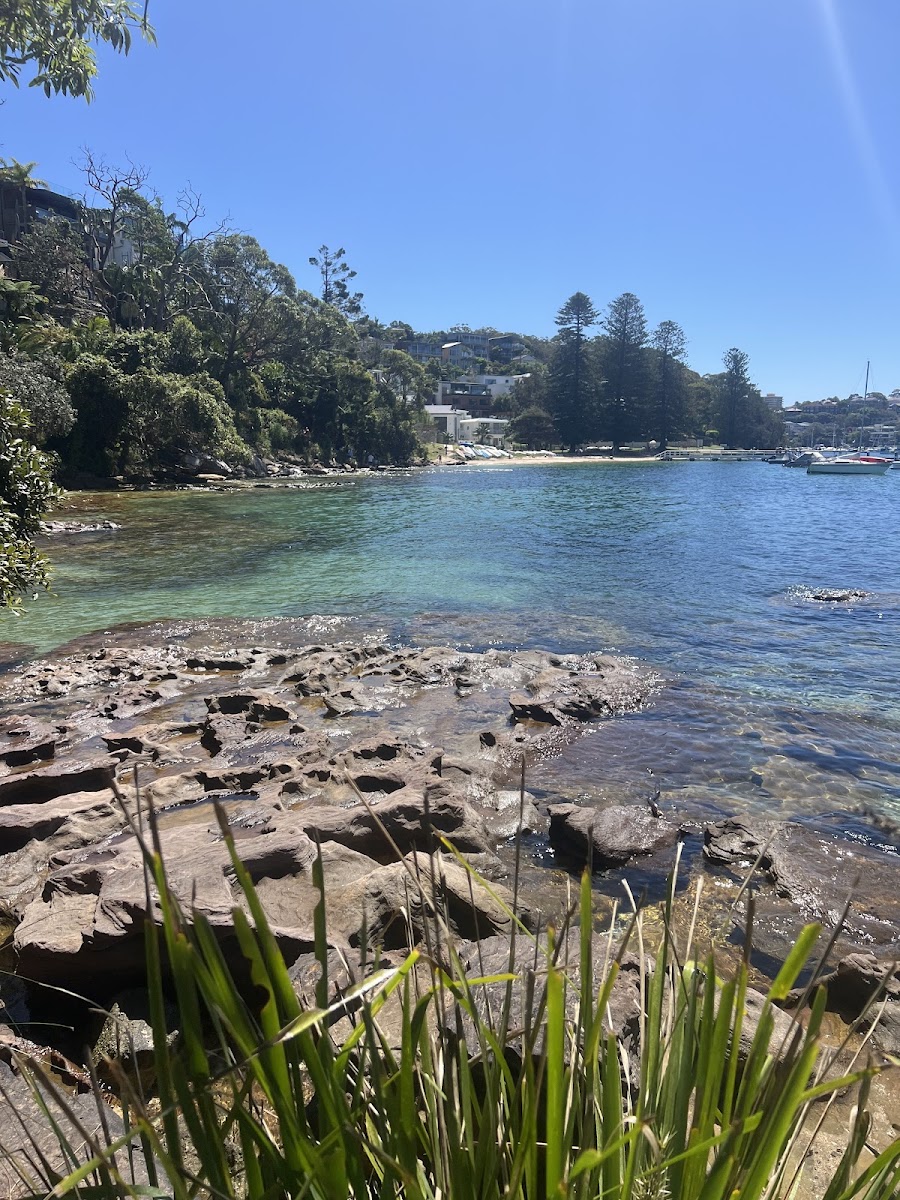 Manly Scenic Walkway (Spit Bridge to Manly)