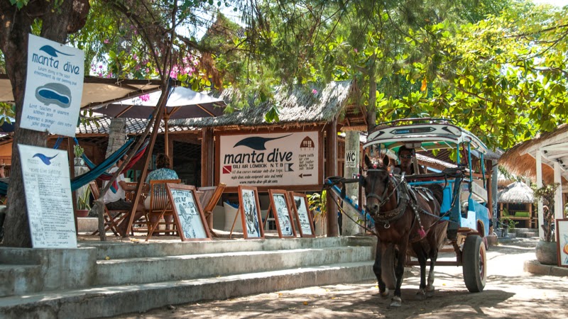 Manta Dive Gili Air