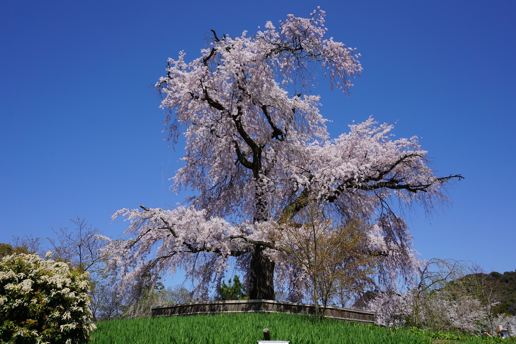 Maruyama Park