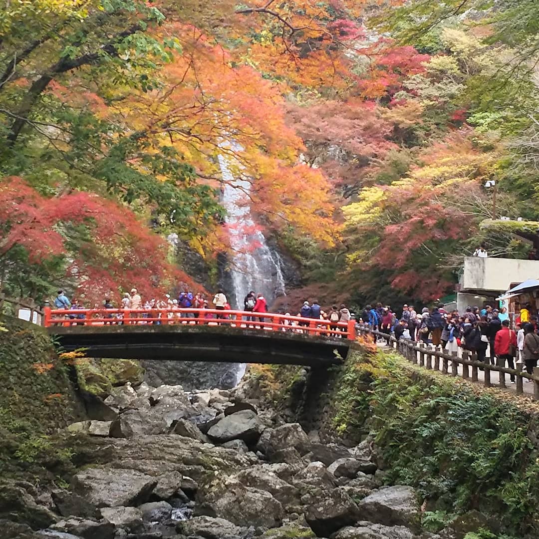 Minoh Waterfall