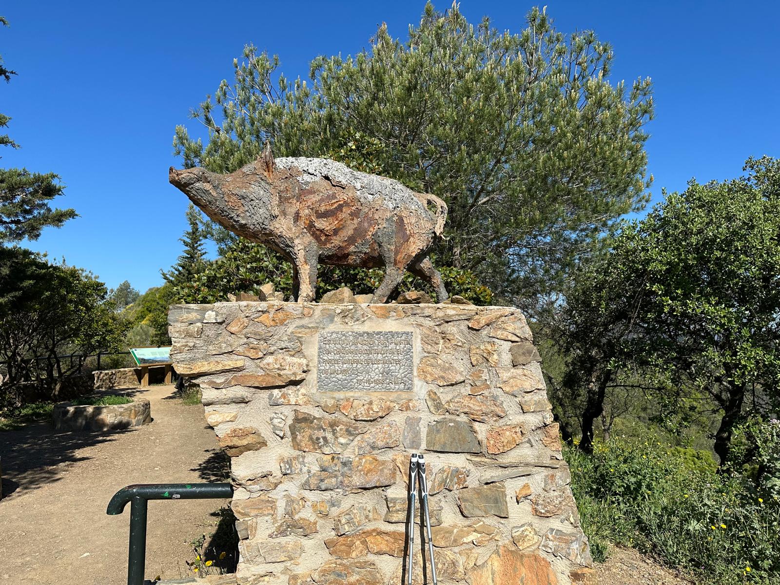 Mirador del Cochino (Montes de Málaga)