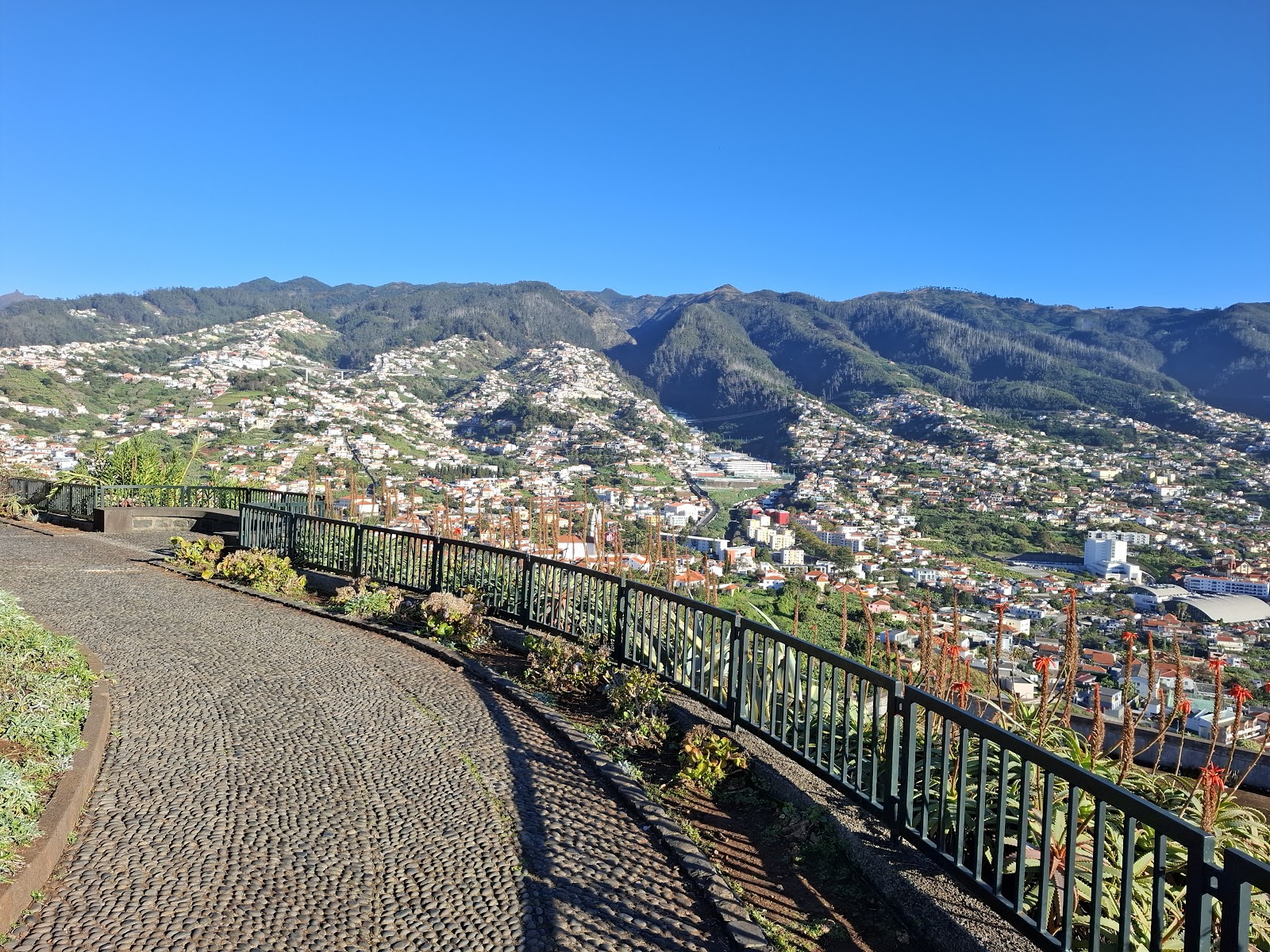 Miradouro do Pico dos Barcelos