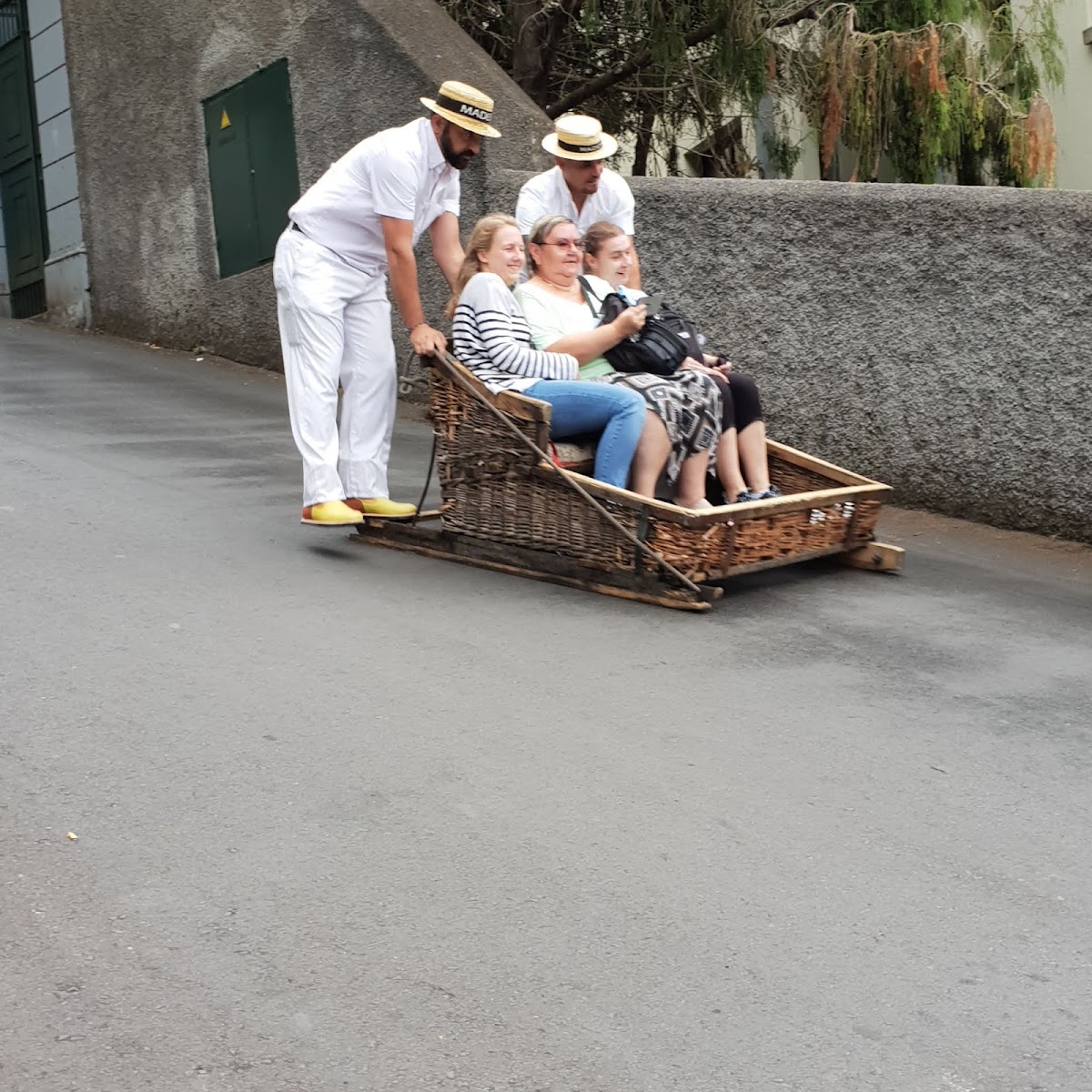 Monte Toboggan Sledges