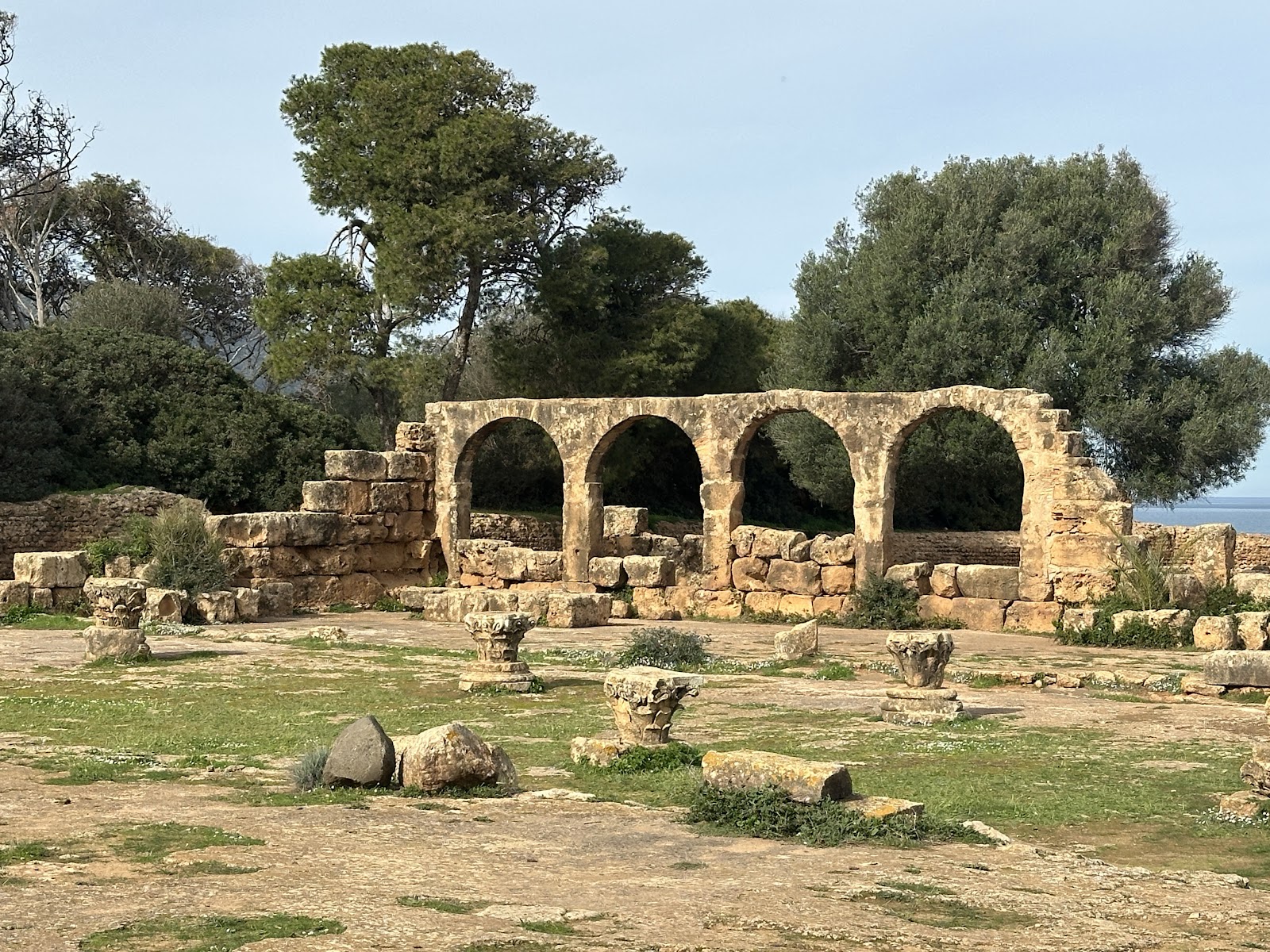 Musée de Tipaza