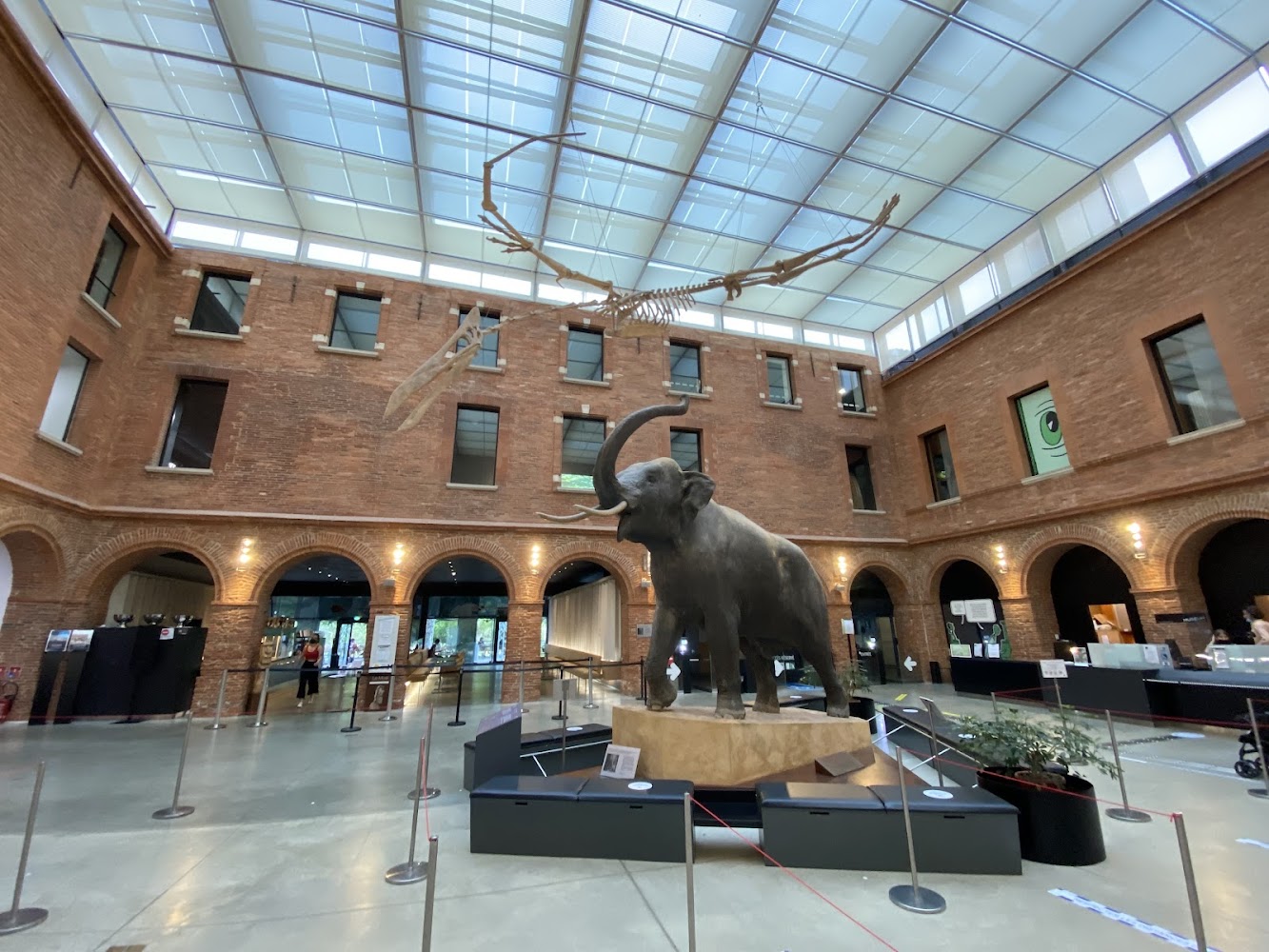 Muséum de Toulouse