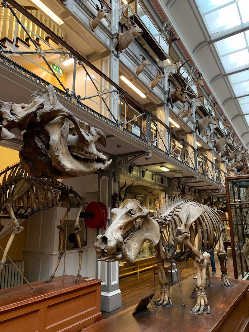 National Museum of Ireland - Natural History