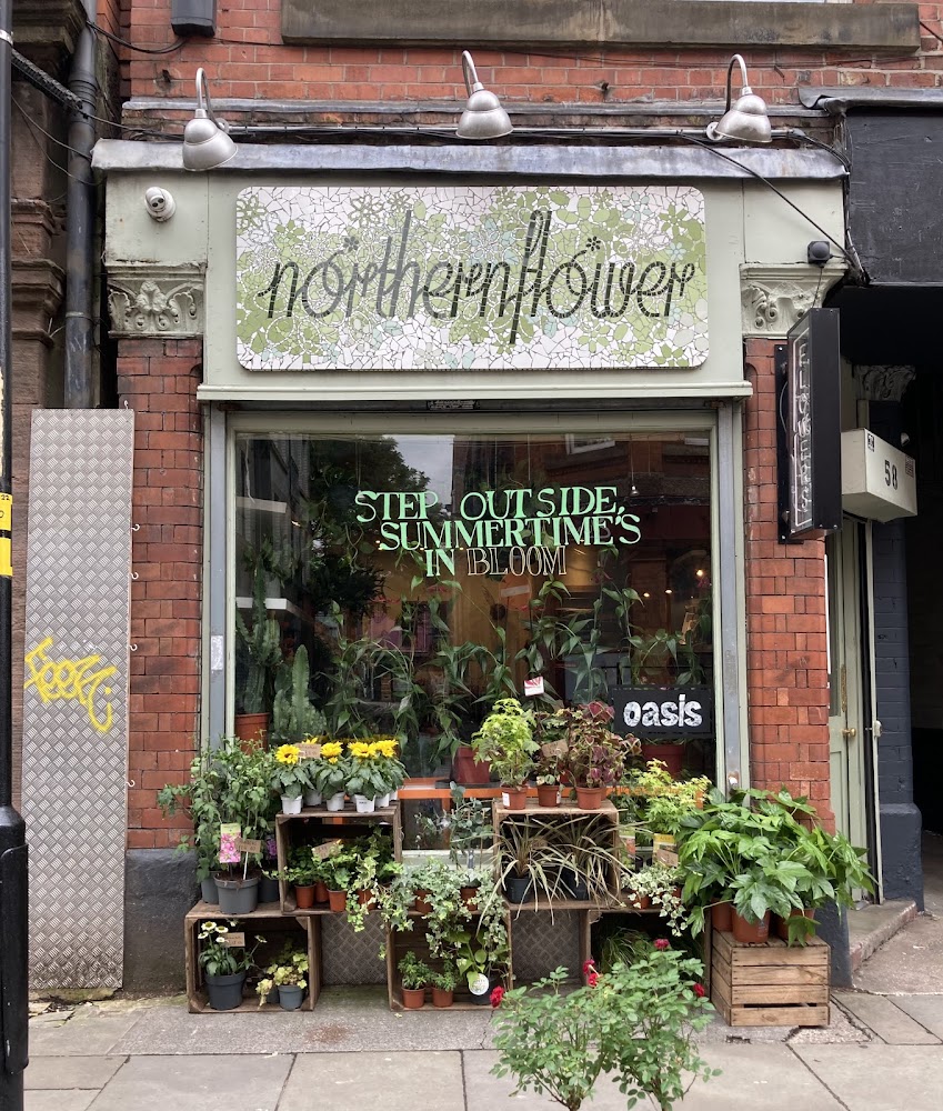 Northern Flower