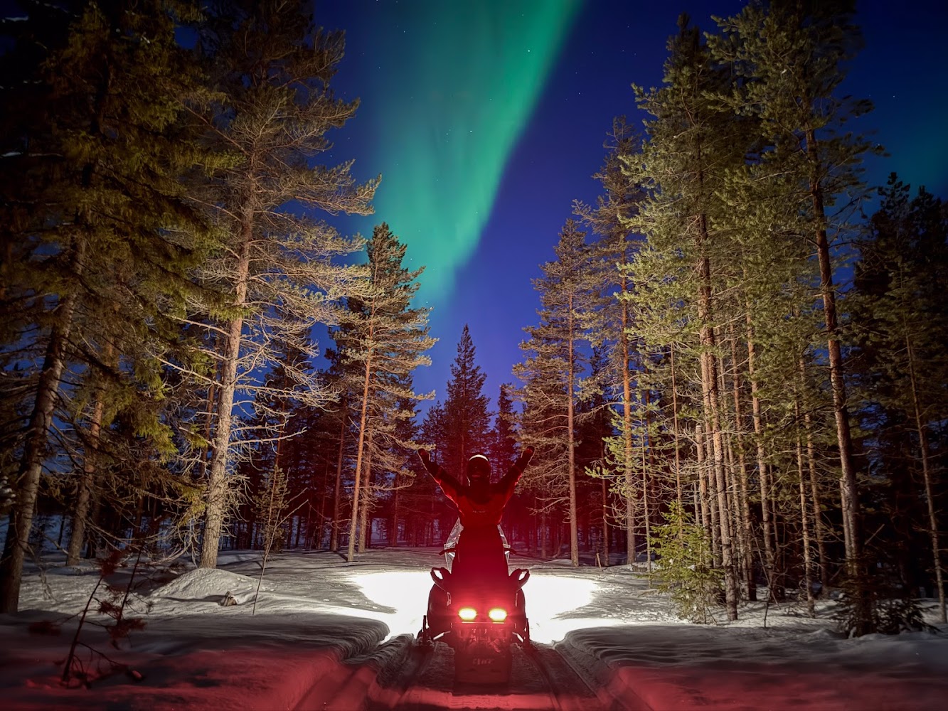 Northern Lights Hunt (Rovaniemi)