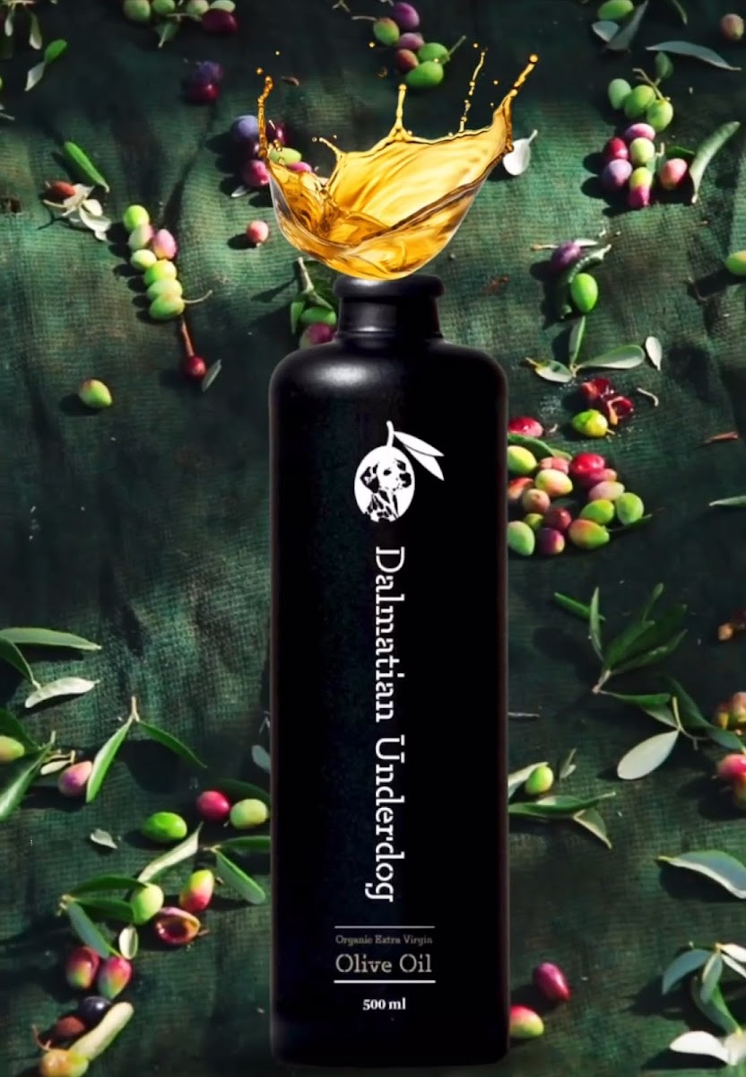 Olive Oil Tasting (Ugljan Island)