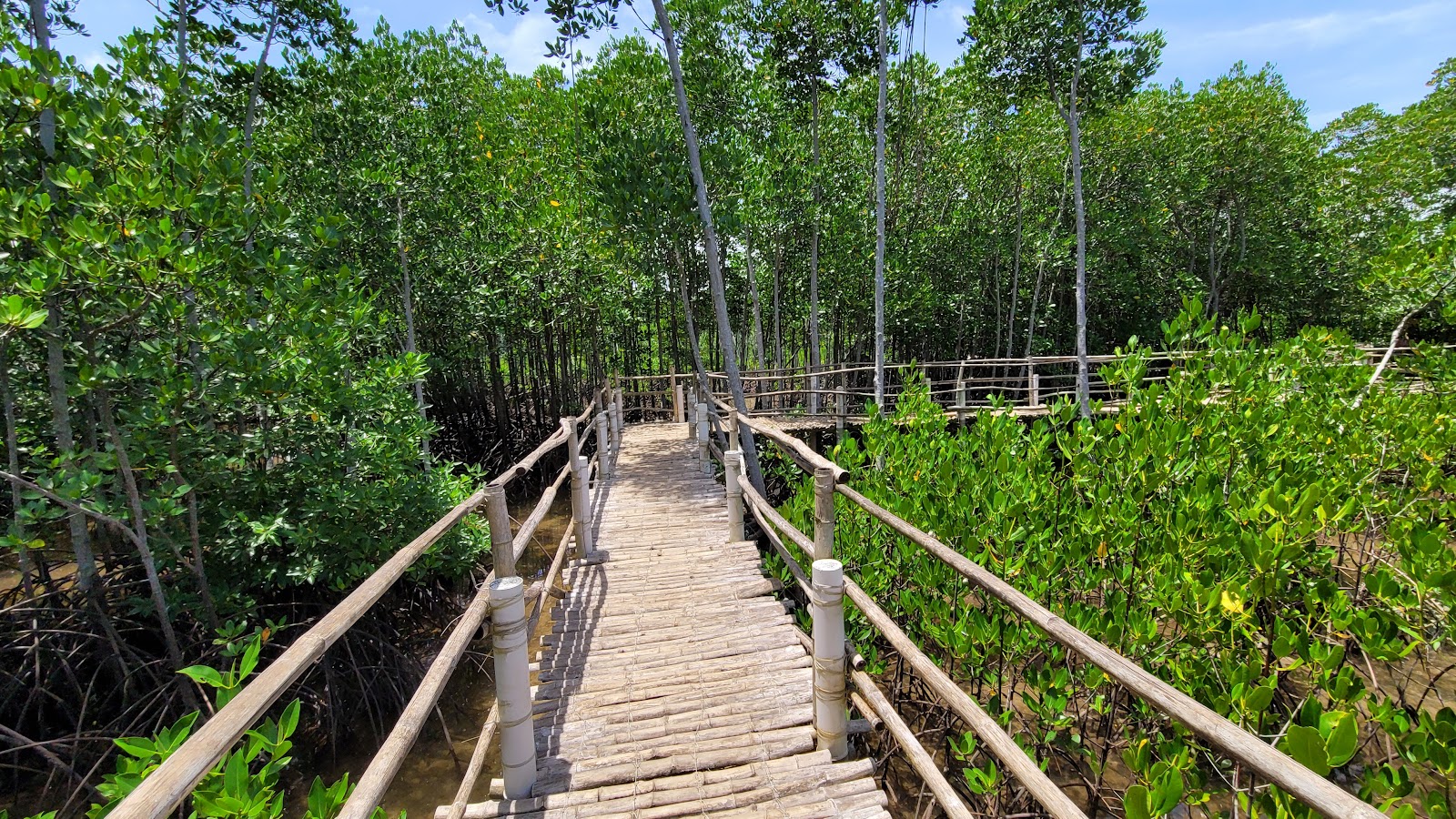 Omagieca Obo-ob Mangrove Garden