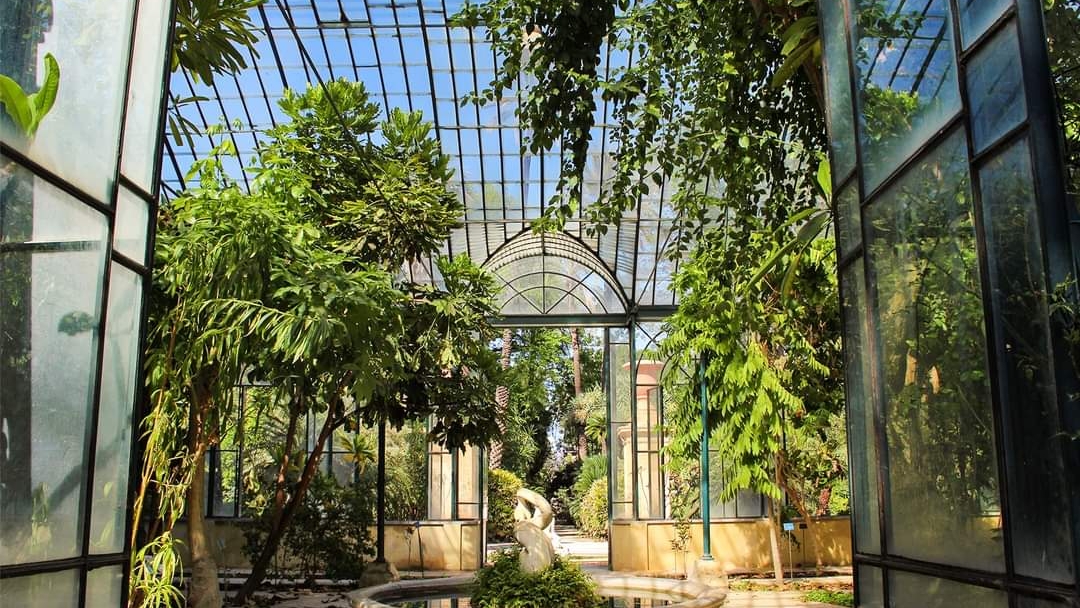 Orto Botanico dell'Università di Palermo
