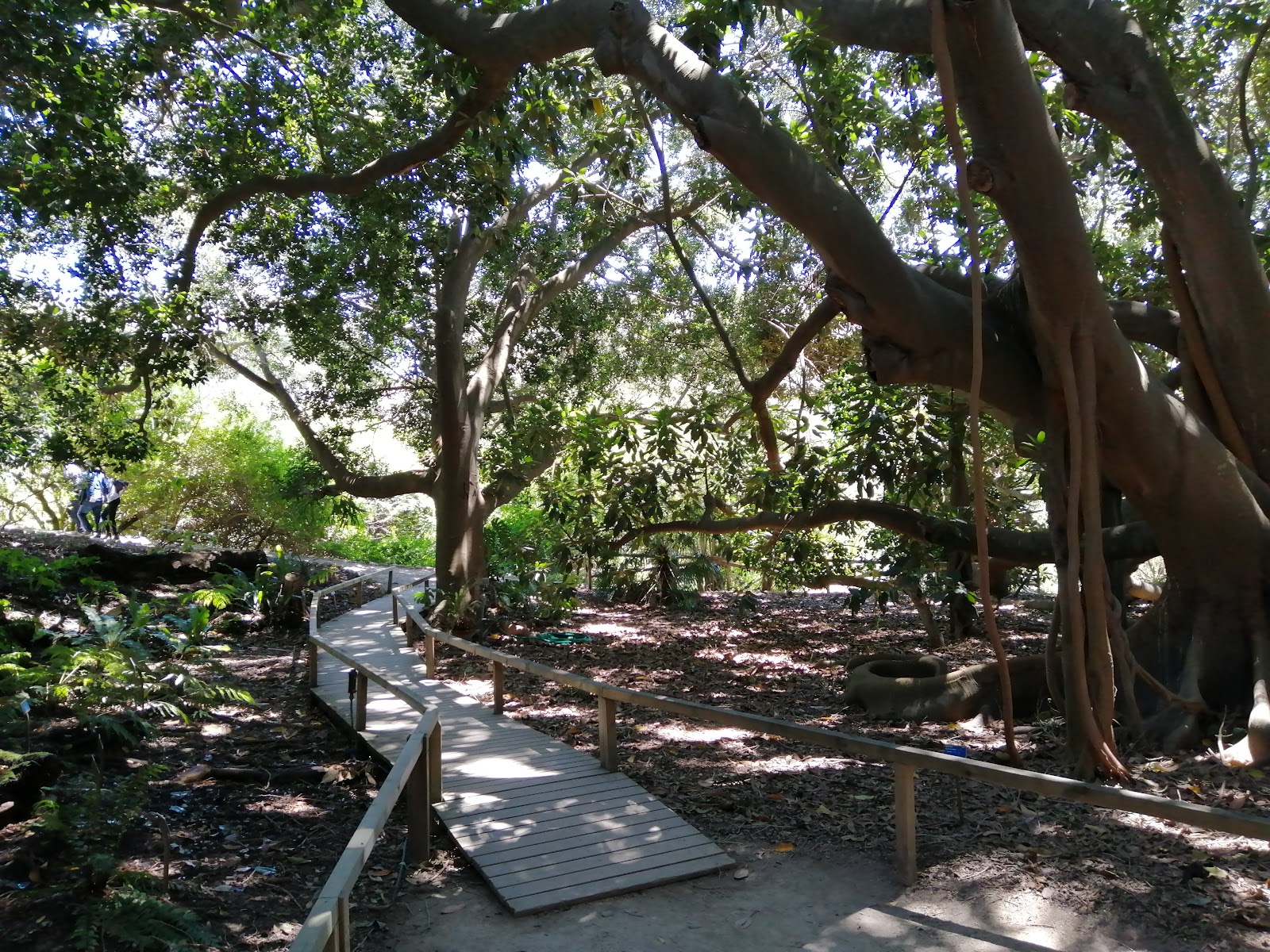 Orto Botanico di Cagliari