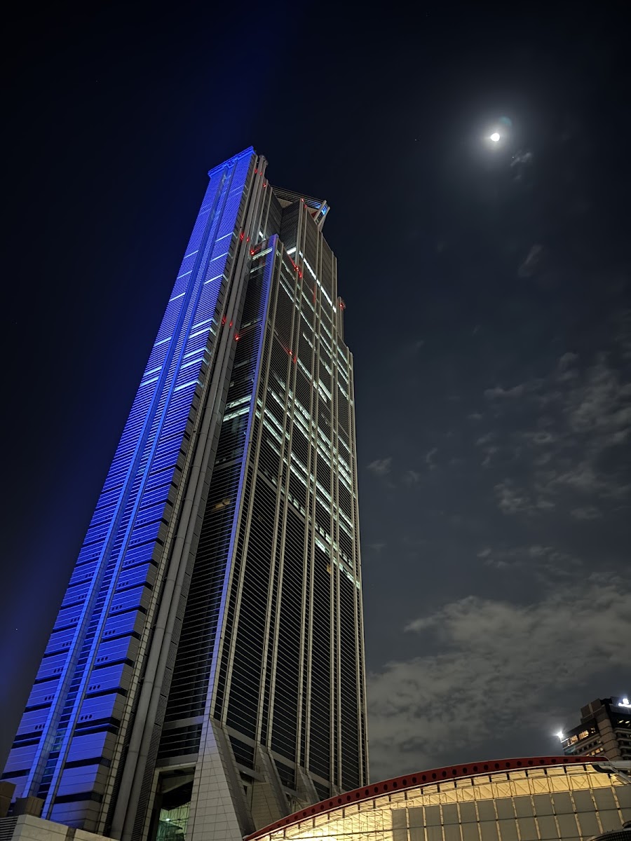 Osaka Prefectural Government Sakishima Building Observatory
