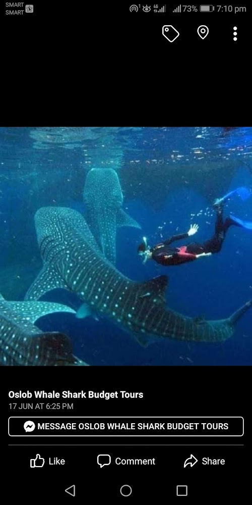 Oslob Whale Shark Center