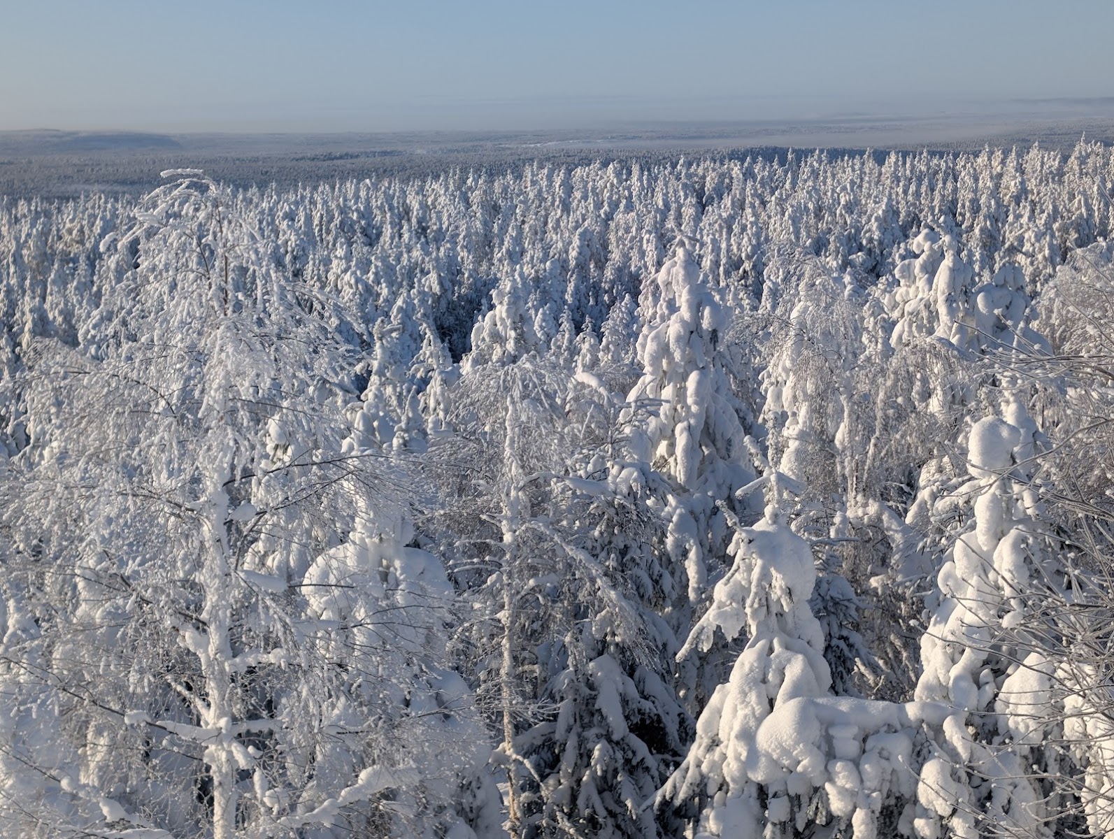 Ounasvaara Winter Trail