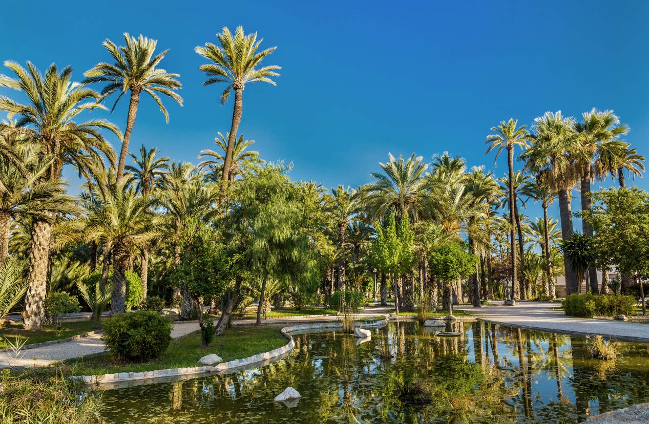 Palmeral de Elche