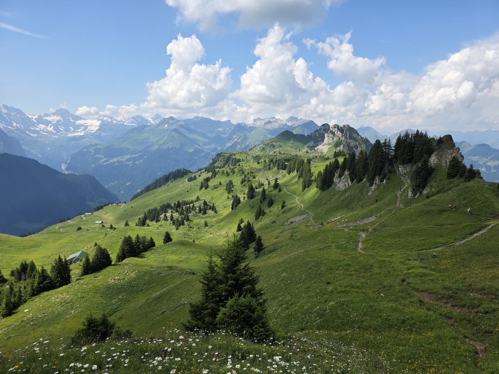 Panorama Trail (Schynige Platte)