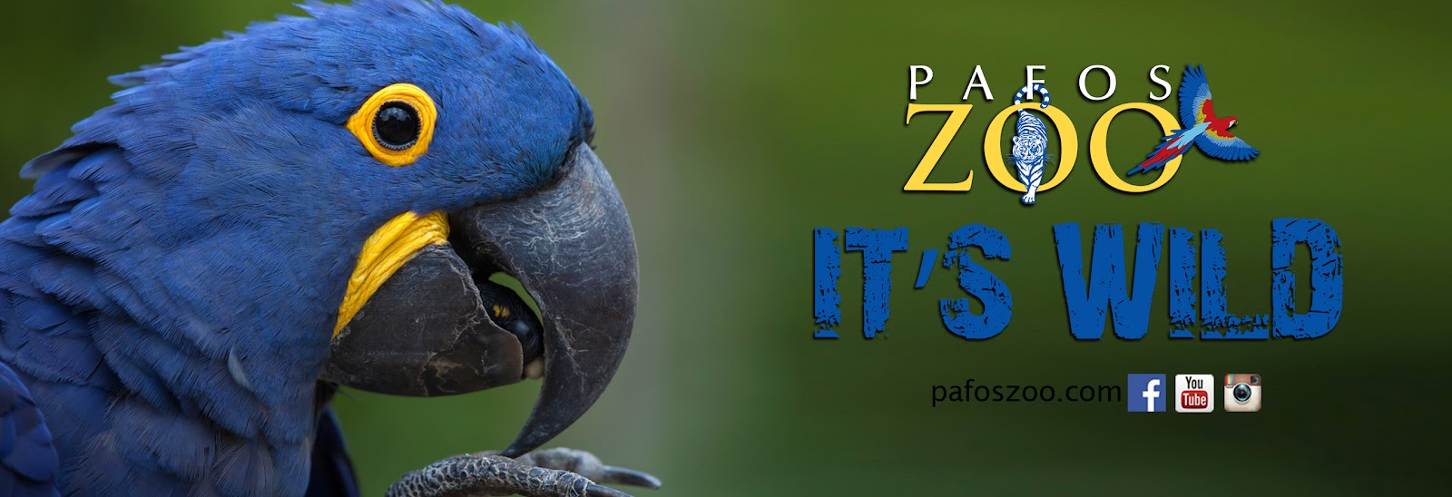 Paphos Zoo