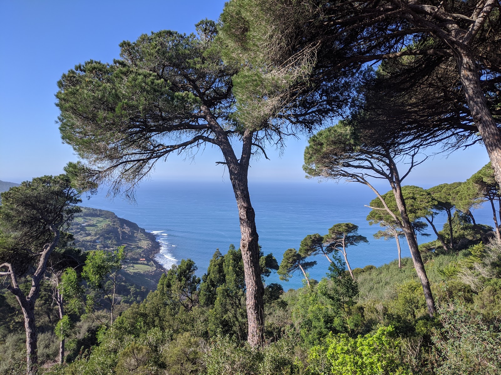 Parc Perdicaris