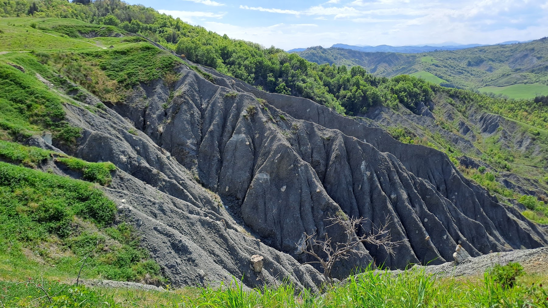 Parco Regionale dei Gessi Bolognesi e Calanchi dell'Abbadessa