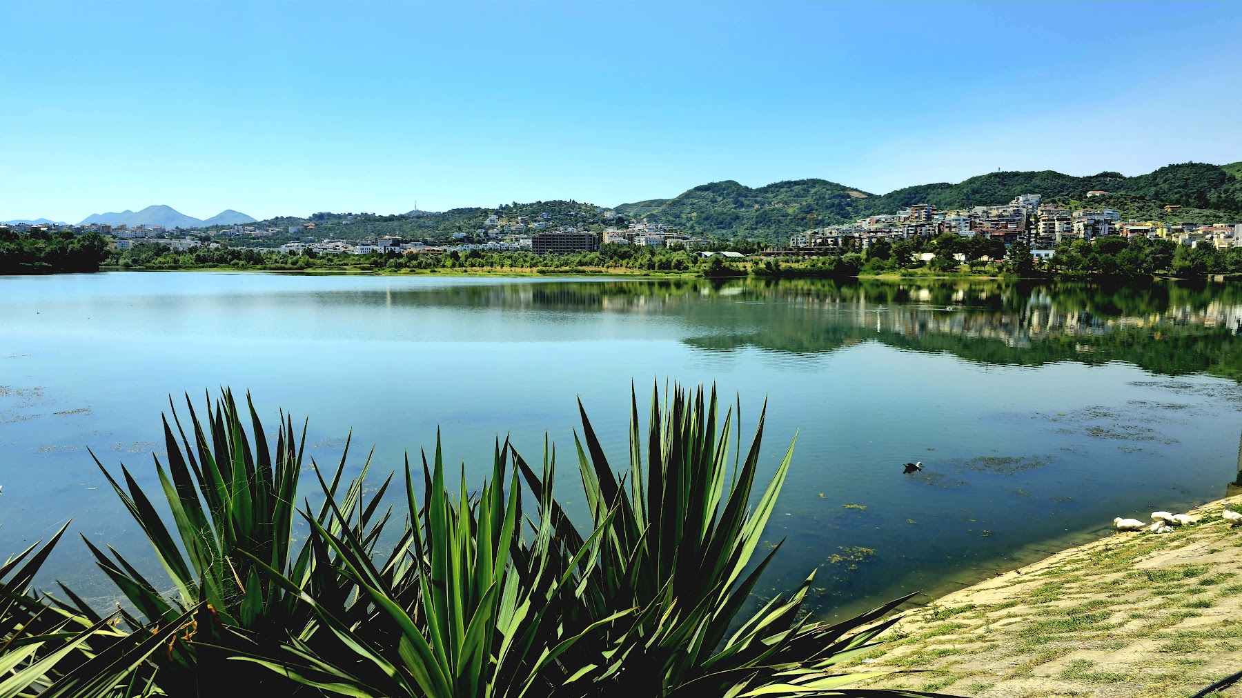 Parku i Liqenit të Thatë (Dry Lake Park)