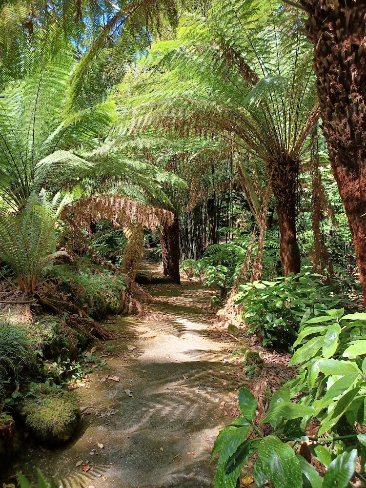 Parque da Pena
