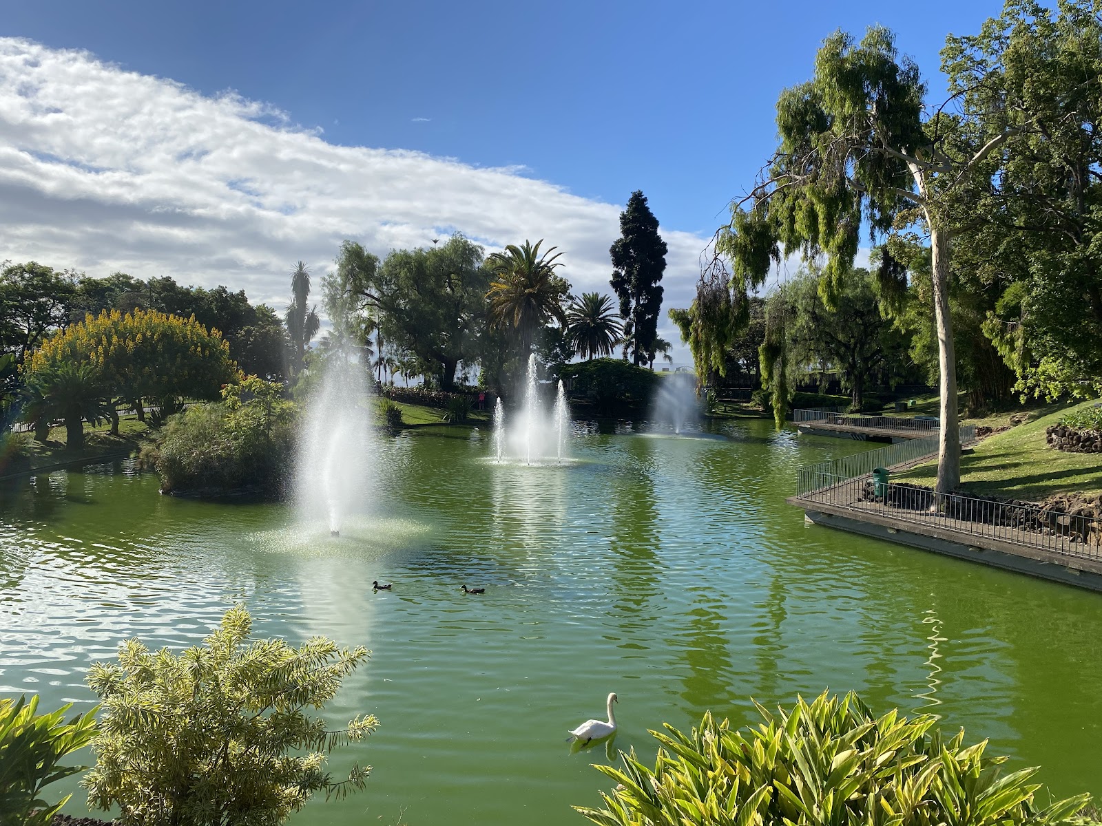Parque de Santa Catarina