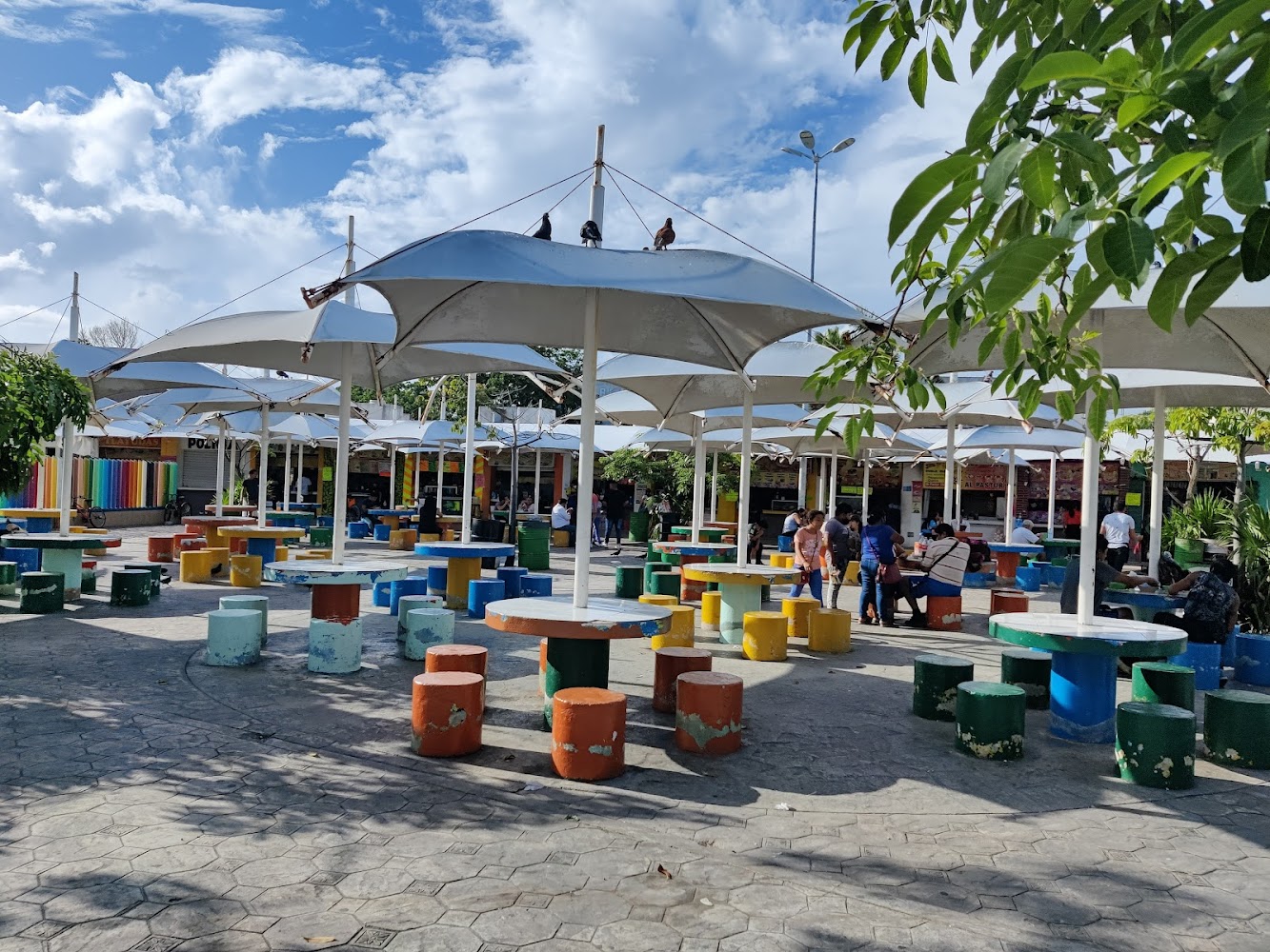 Parque Las Palapas